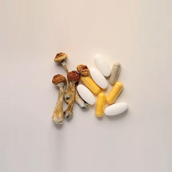 Hongos-de-psilocibina.jpg